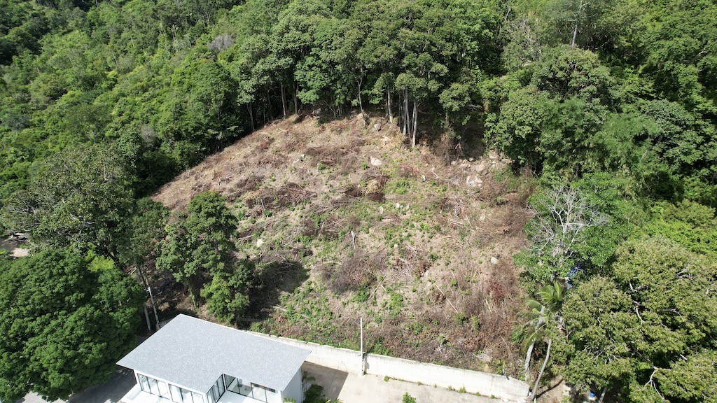 Koh Samui Chaweng Land Aerial 2