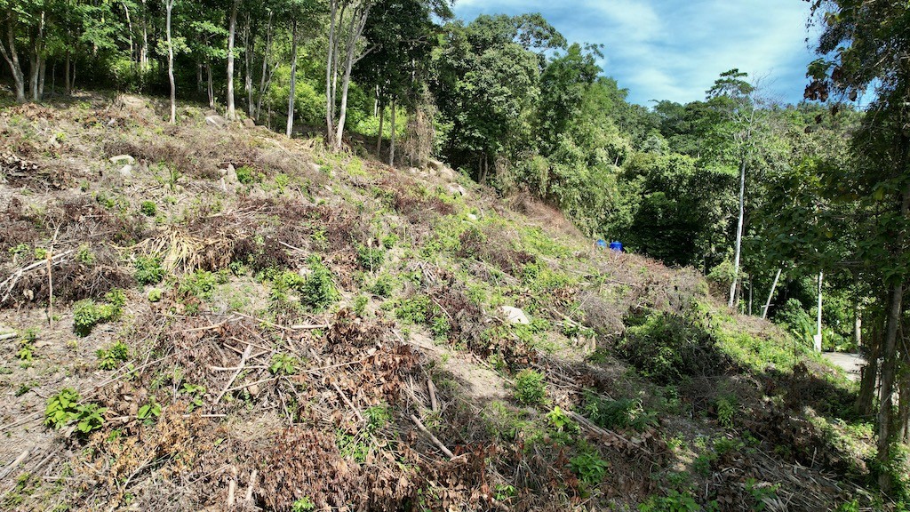 Koh Samui Chaweng Land Side