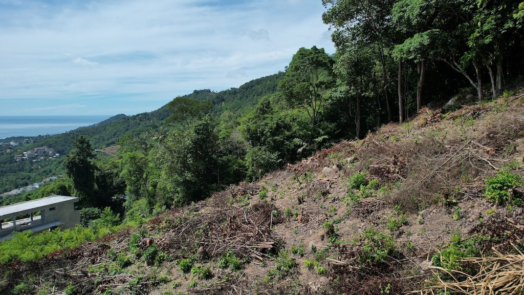 Koh Samui Chaweng Land Contor