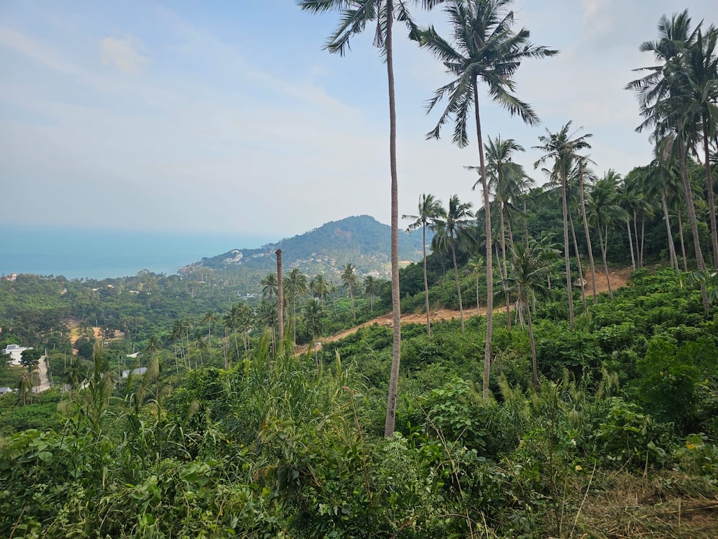 Koh Samui Chaweng Sea View LandHillside