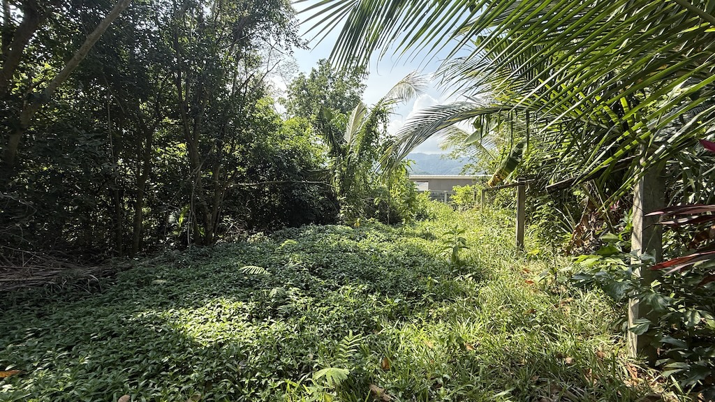 Koh Samui Development Land In Lamai