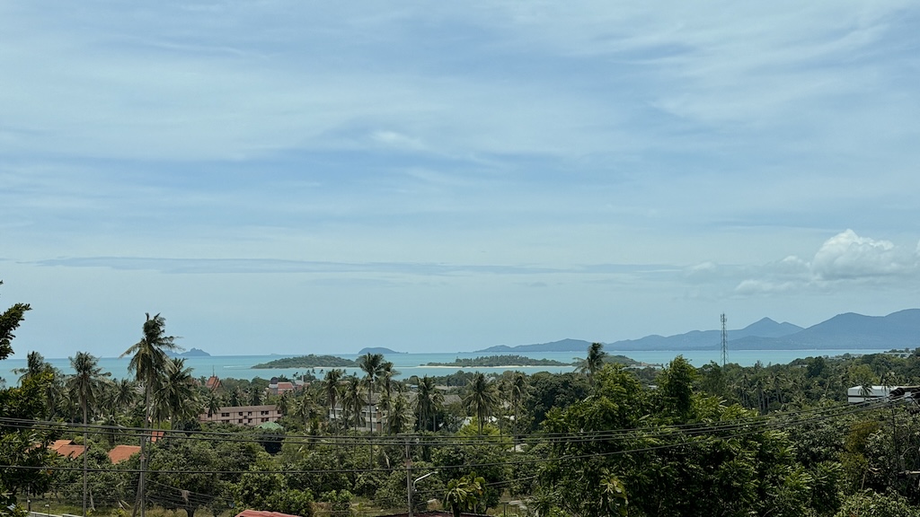 Koh Samui Freehold Apartment For Sale Bedroom View