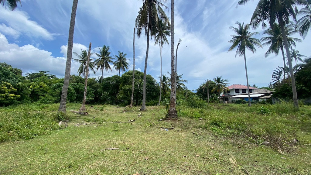Koh Samui Hua Thanon Land Landscape