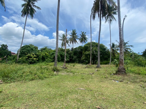 Koh Samui Hua Thanon Land
