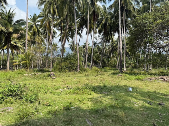 Koh Samui Laem Set Land For Sale