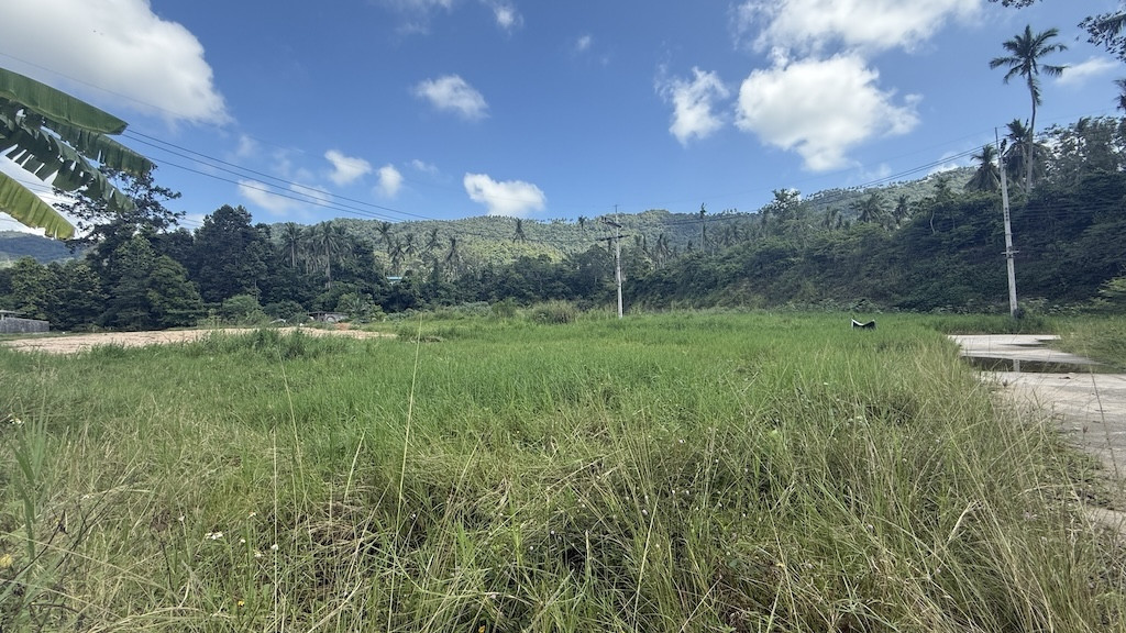 Koh Samui Lamai Land