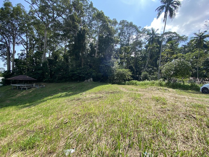 Koh Samui Lamai Land For Sale 2