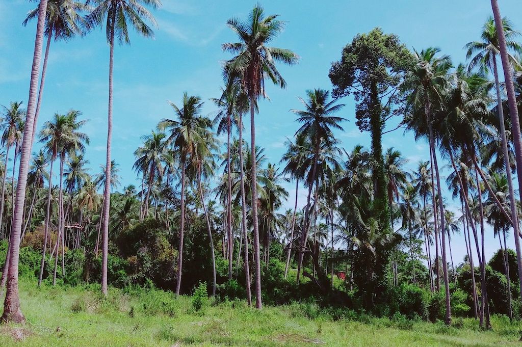 Koh Samui Land Bang Kao
