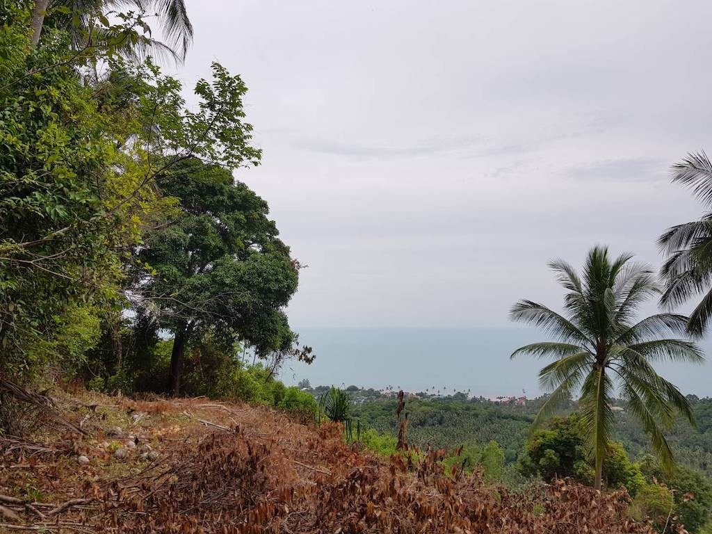 Koh Samui Land For Sale Bang Po View Left
