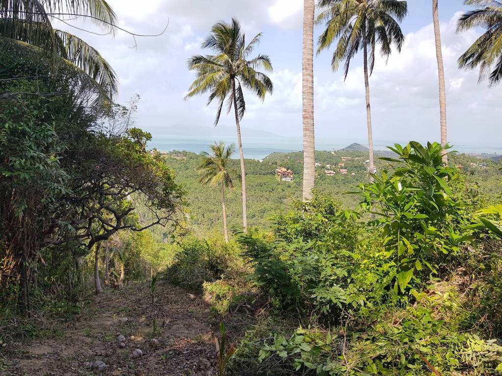 Koh Samui Land For Sale Bang Po Contour