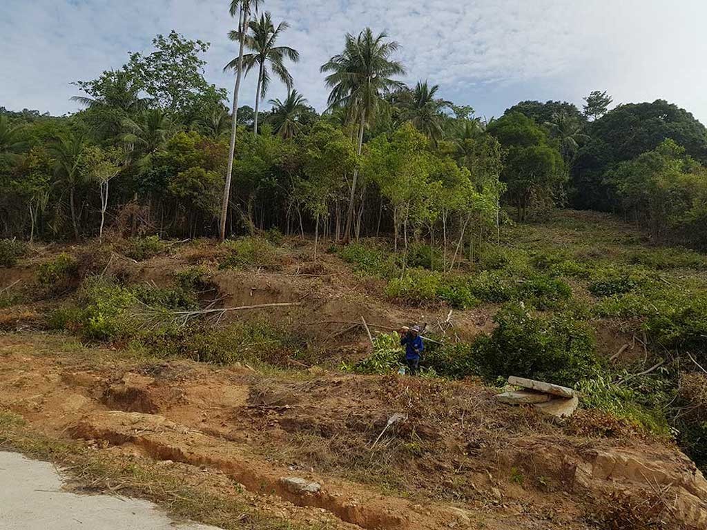 Koh Samui Land For Sale Bang Po Contour