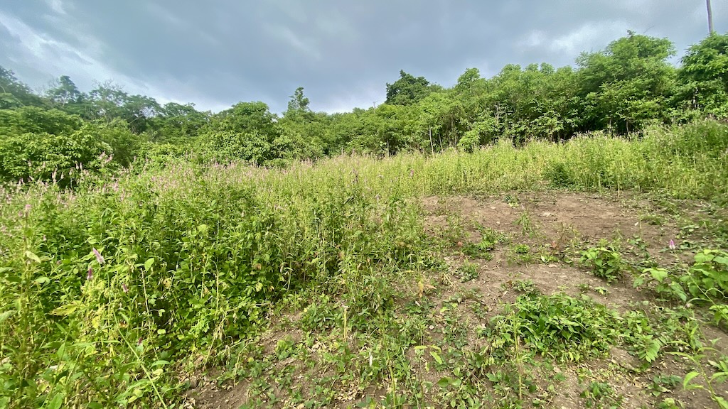 Koh Samui Land For Sale In Angthong