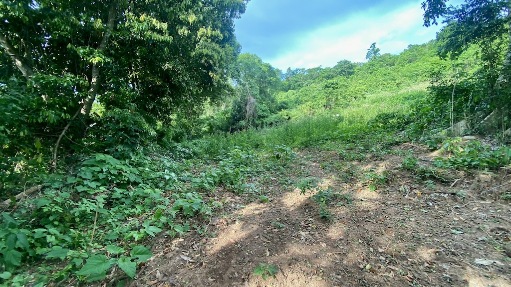 Koh Samui Land For Sale in Angthong