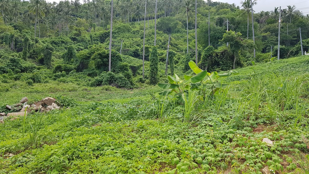 Koh Samui Land For Sale In Lamai View