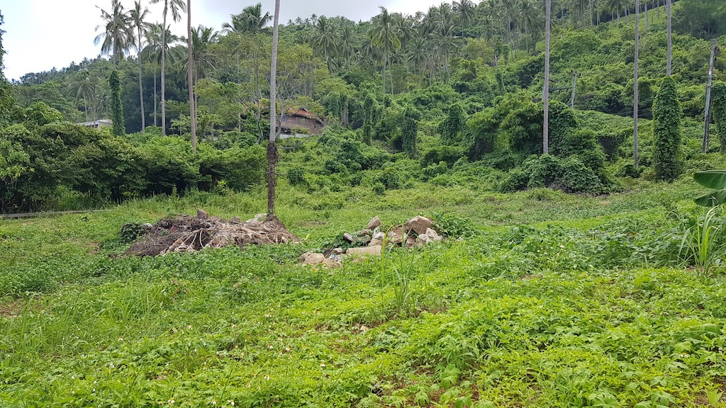 Koh-Samui Land For Sale In Lamai Surroundings