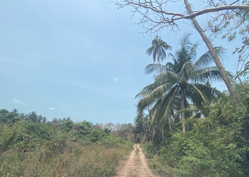 Koh Samui LAnd For Sale In TOng Krut Acess Road