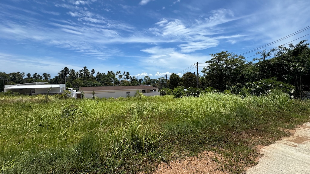 Koh Samui Land For Sale In Bang Po