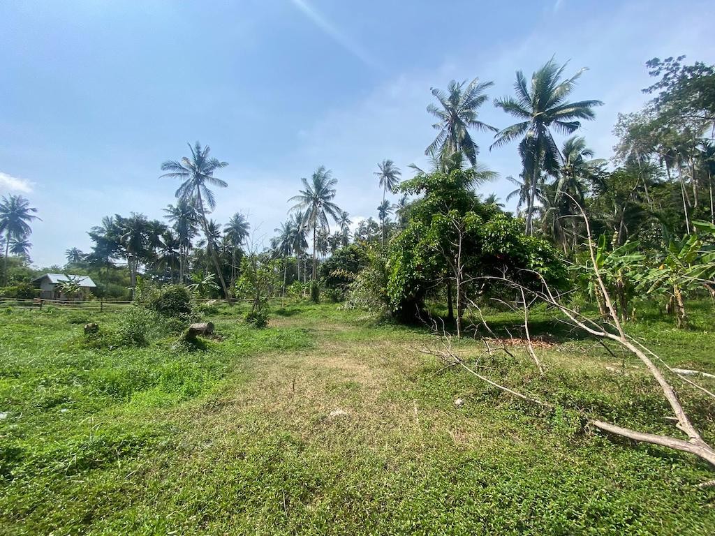 Koh Samui Land In Lamai 2