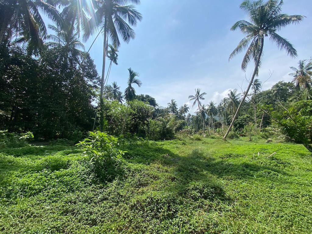 Koh Samui Land In Lamai 3