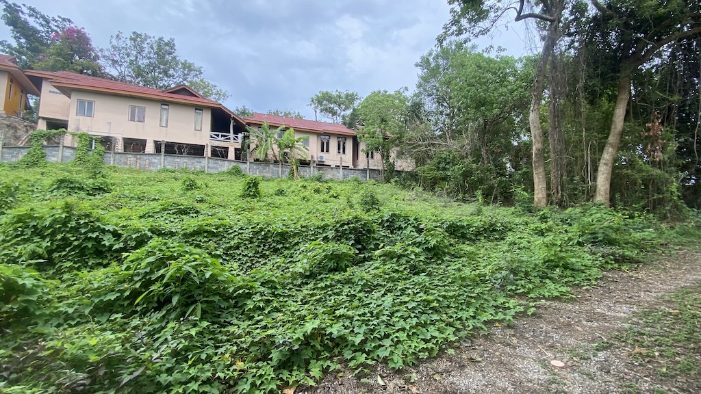 Koh Samui Land Plot For Sale In Lamai