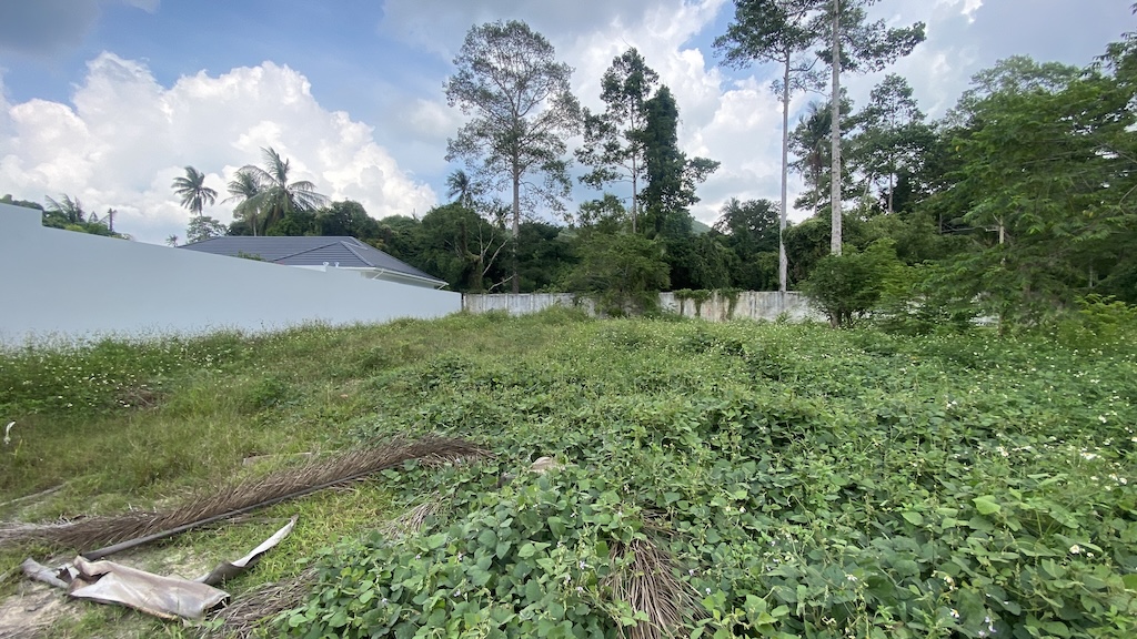 Koh Samui Land For Sale In Maenam Boundary