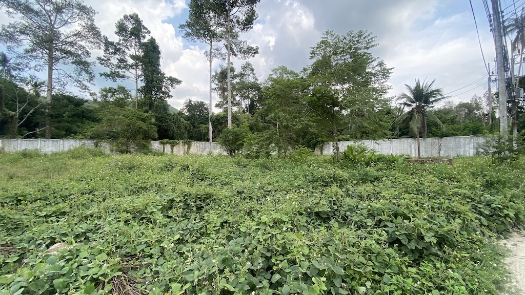 Koh Samui Land Plot For Sale In Maenam