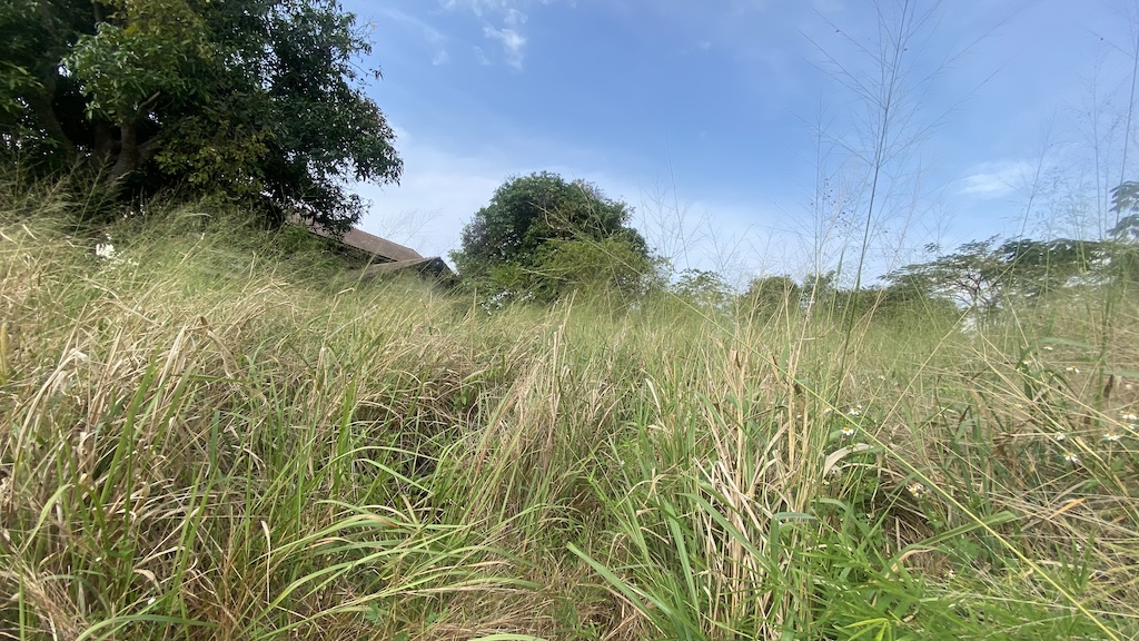 Koh Samui Land Plot For Sale In Plai Laem