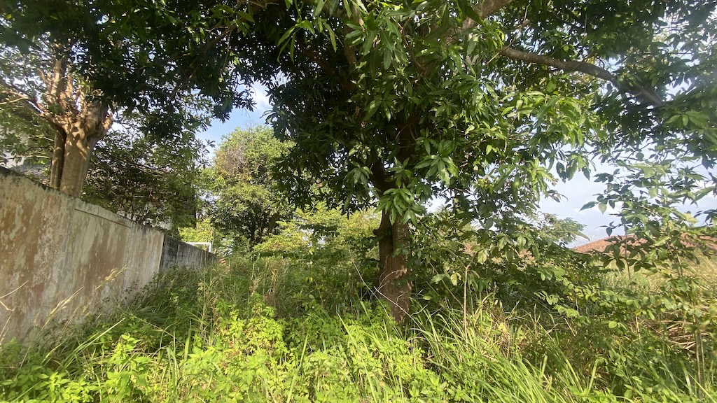 Koh Samui Land Plot FOr Sale In Plai Laem Boundary