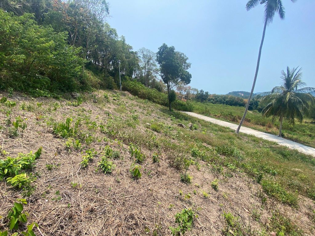 Koh Samui Land Tongkrut Contour
