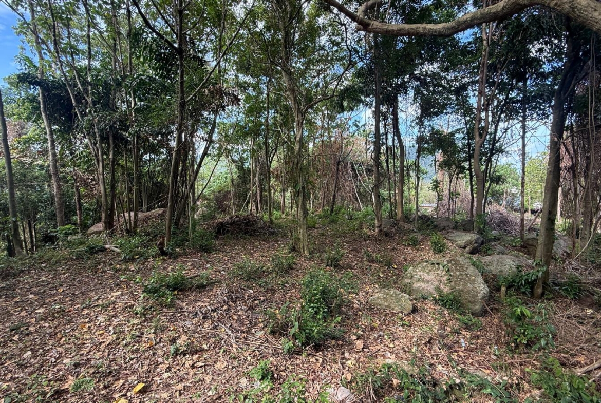 Koh Samui Land In Lamai For Sale
