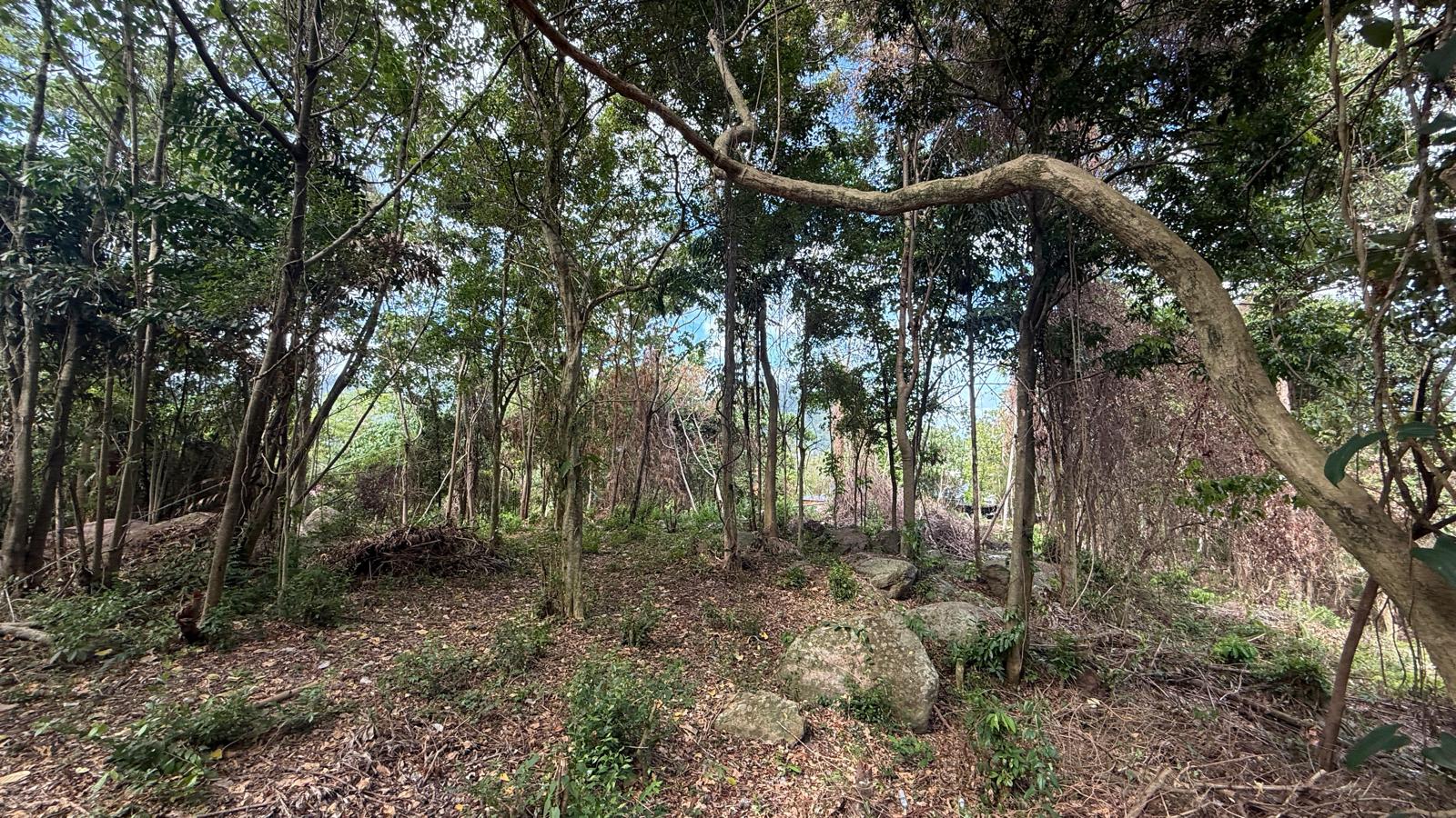 Koh Samui Land In Lamai For Sale Koh Samui Land In Lamai For Sale