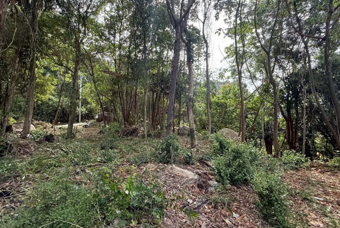 Koh Samui Land In Lamai For Sale