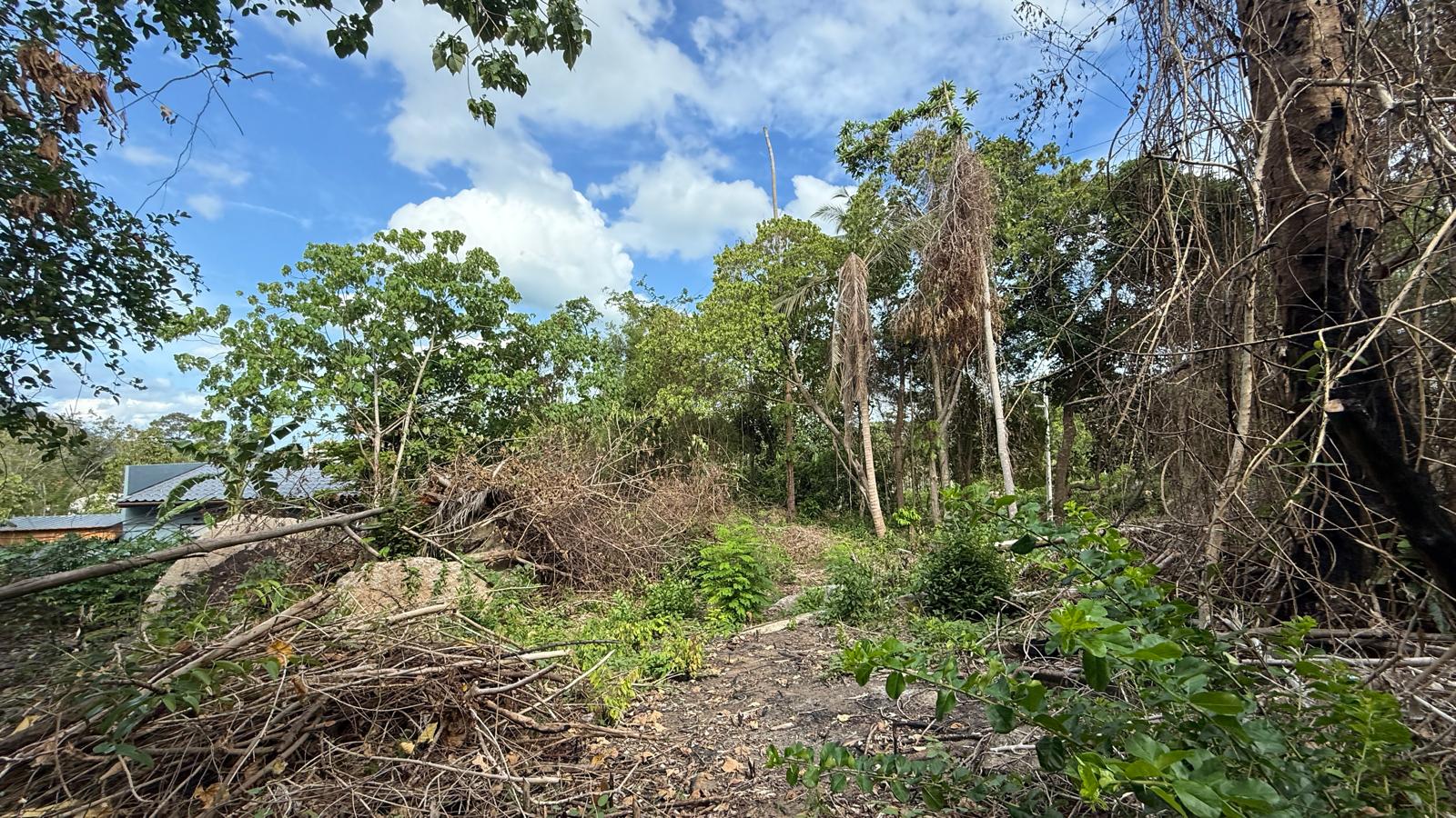 Koh Samui Land In Lamai For Sale Koh Samui Land In Lamai For Sale