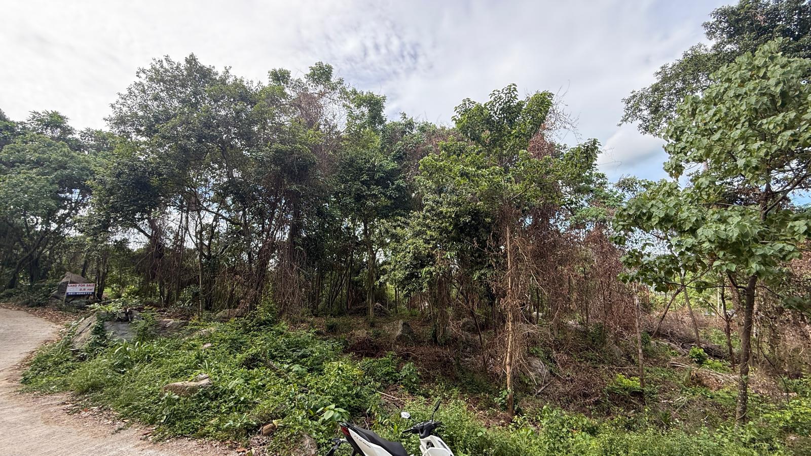 Koh Samui Land In Lamai For Sale Koh Samui Land In Lamai For Sale