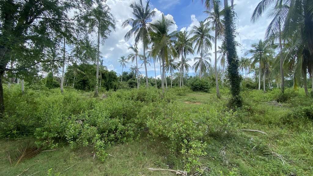 Koh Samui Lipa Noi Land