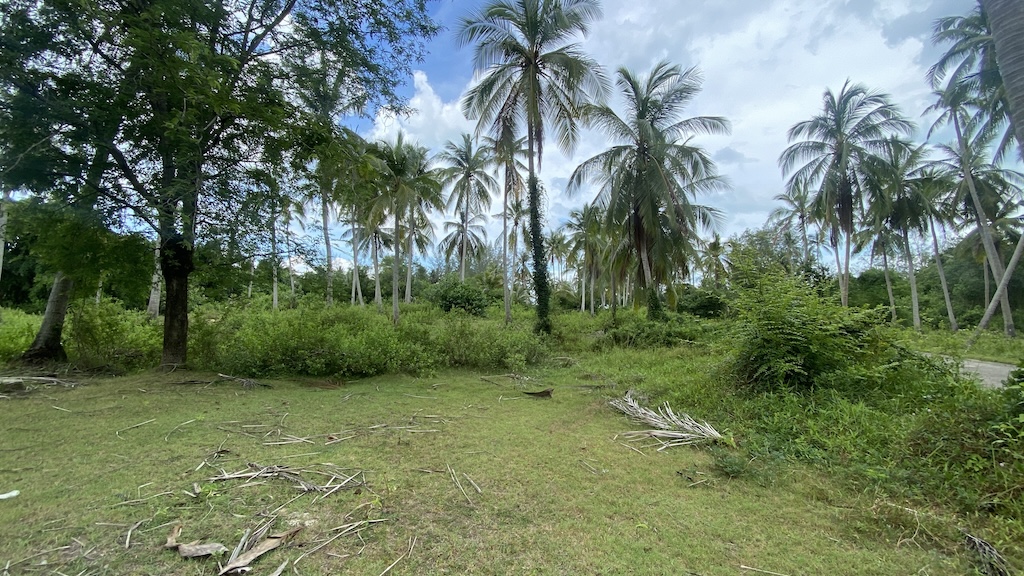 Koh Samui Lipa Noi Land