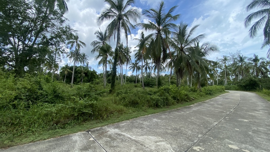 Koh Samui Lipa No Land Road