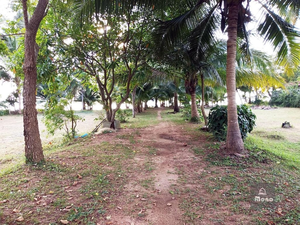 Koh Samui Lipa Noi Villa Beach Way