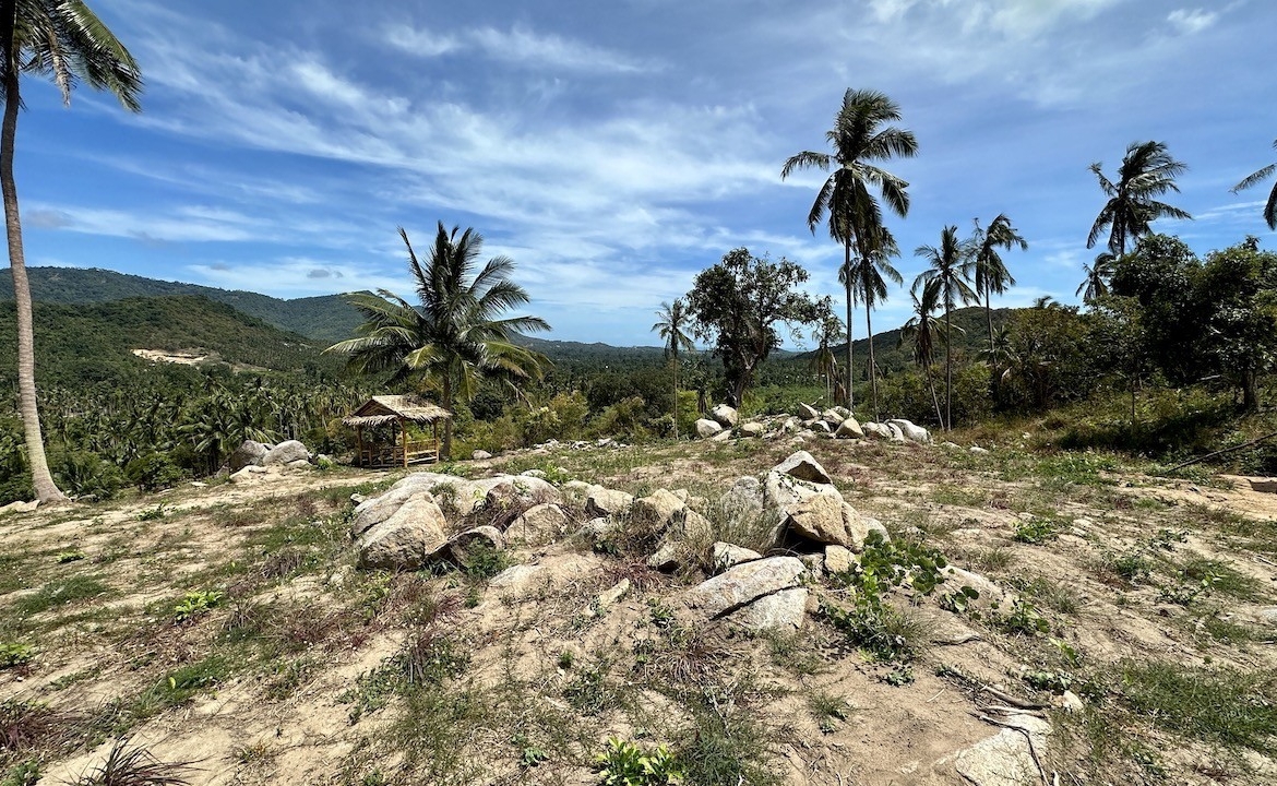 Koh Samui Maenam Land Coconut Trees