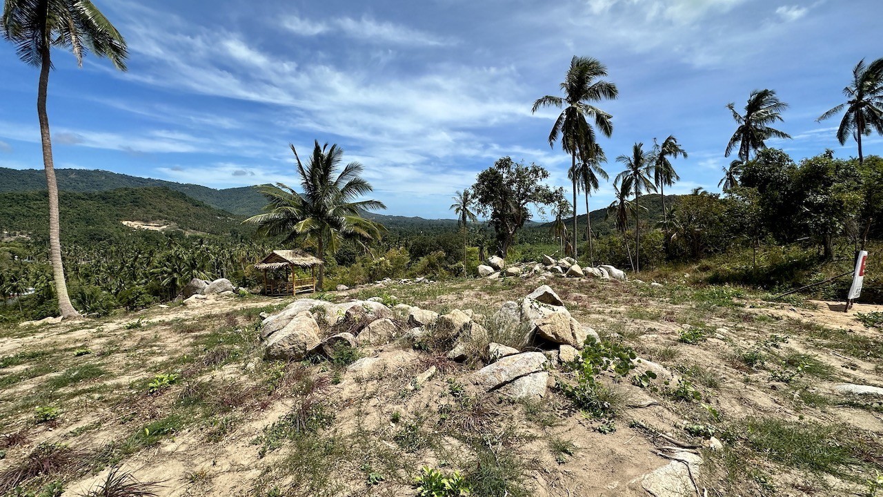 Koh Samui Maenam Land Koh Samui Maenam Land Coconut Trees