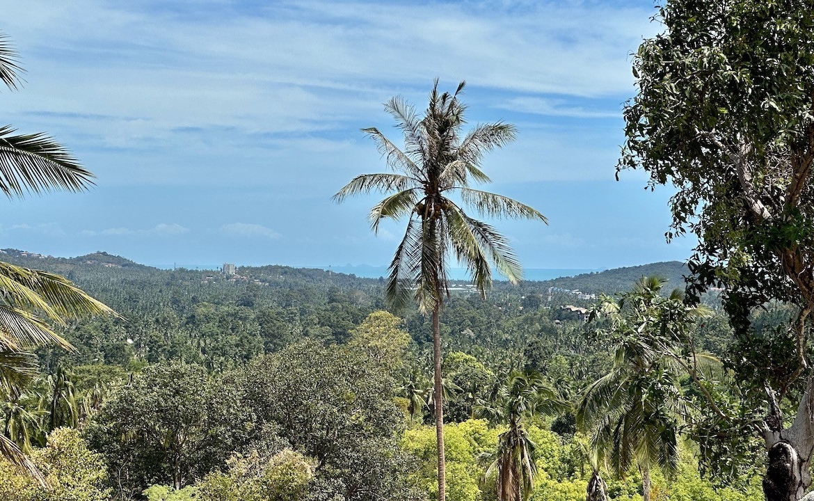 Koh Samui Maenam Land Greenery