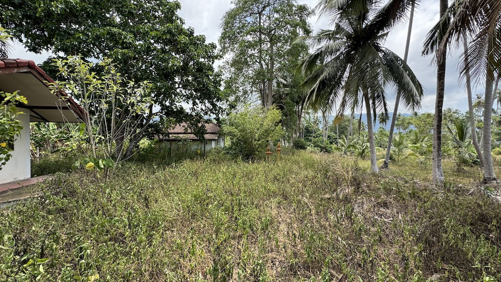 Koh Samui Na Muaeng Land