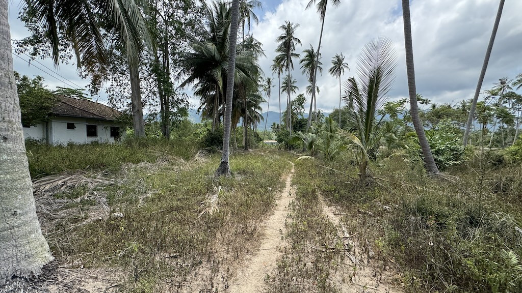Koh Samui Na Muaeng Land