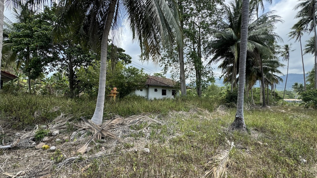 Koh Samui Na Muaeng Land