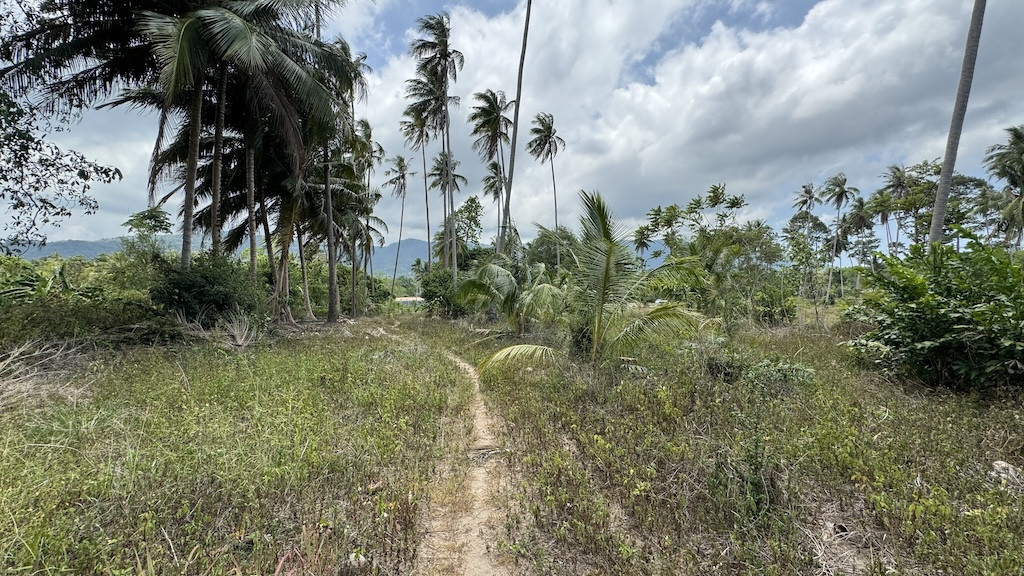 Koh Samui Na Muaeng Land