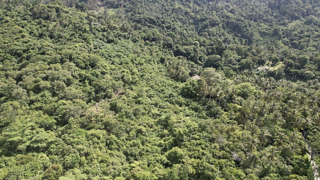 Koh Samui Na Muang Land Area