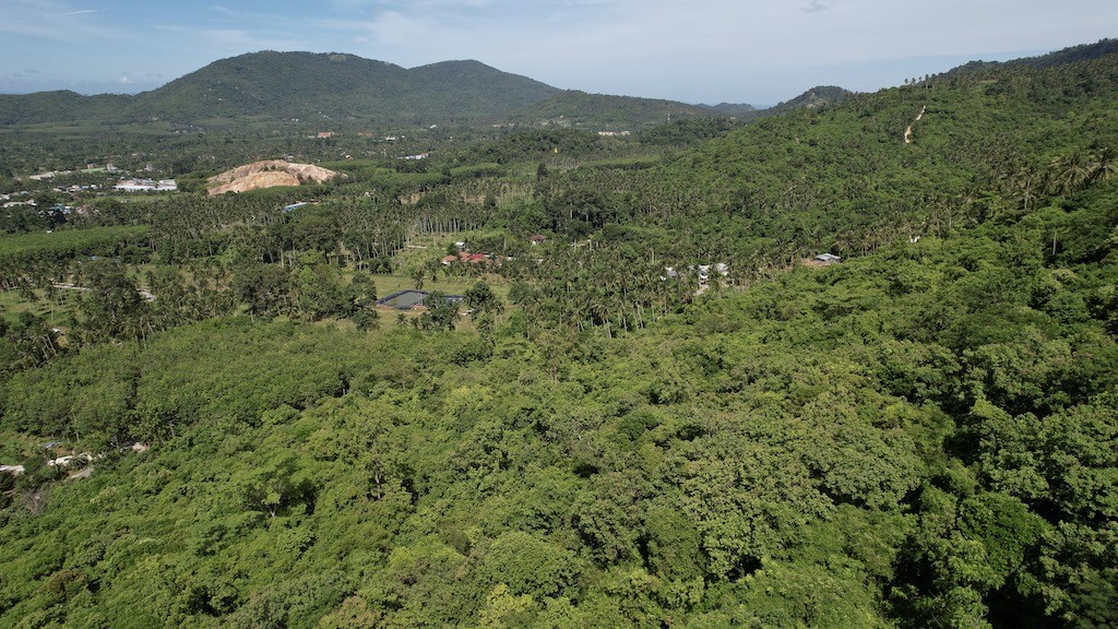 Koh Samui Na Muang Land Surroundings