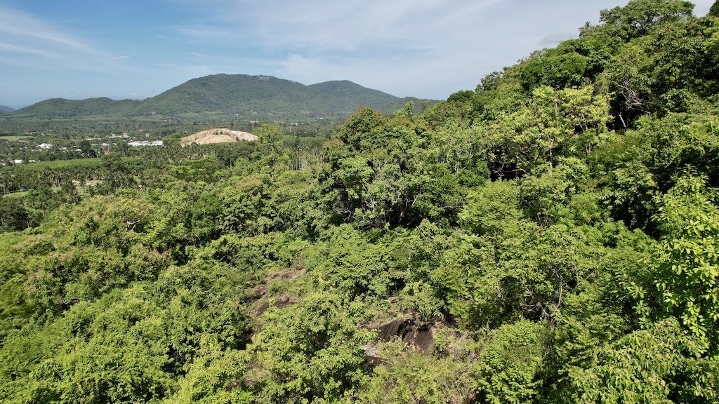 Koh Samui Na Muang Land For Sale