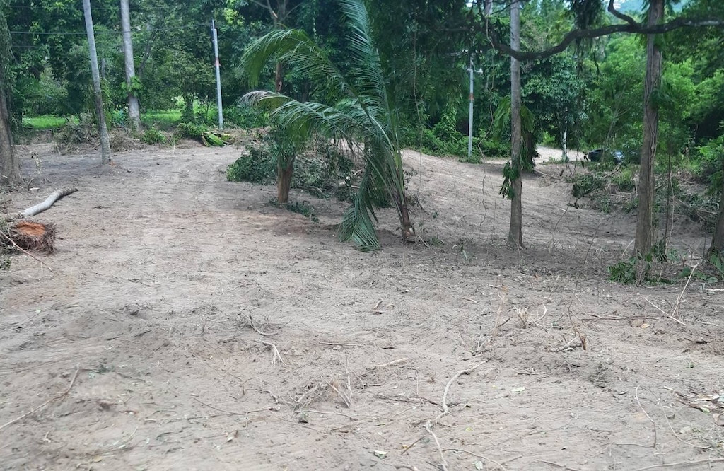 Koh Samui Nathon Land