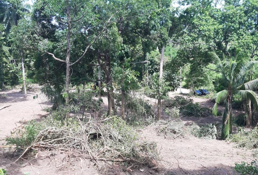 Koh Samui Nathon Land Landcape